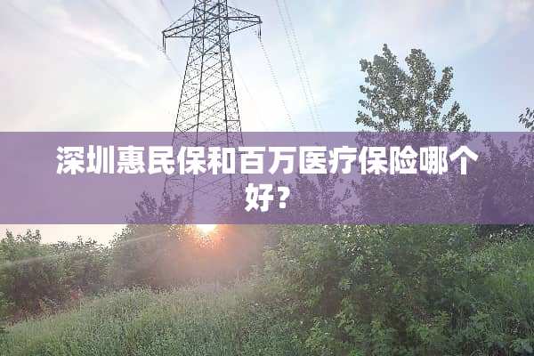 深圳惠民保和百万医疗保险哪个好？