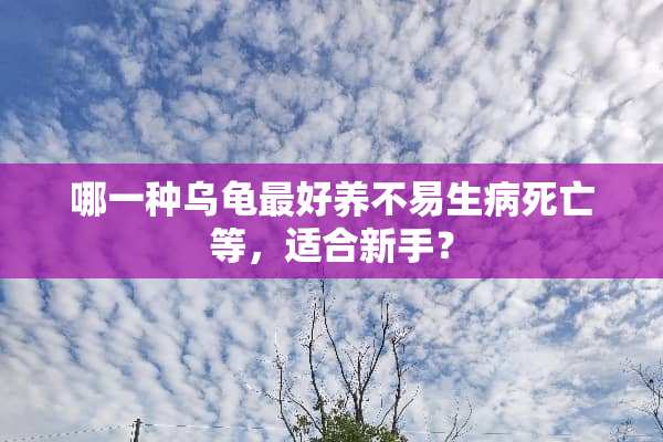 哪一种乌龟最好养不易生病死亡等，适合新手？