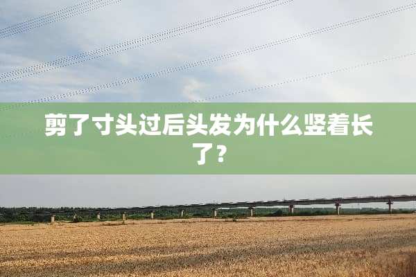 剪了寸头过后头发为什么竖着长了？