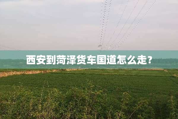 西安到菏泽货车国道怎么走？