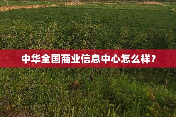 中华全国商业信息中心怎么样？