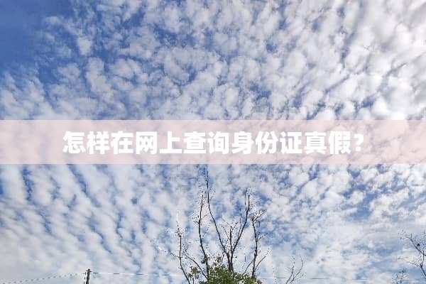 怎样在网上查询***真假？