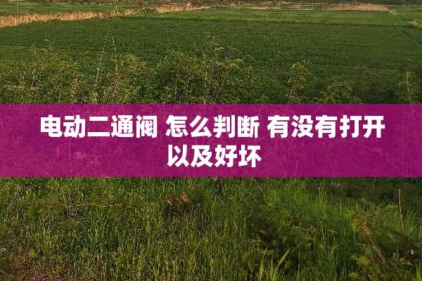 电动二通阀 怎么判断 有没有打开 以及好坏