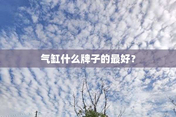 气缸什么牌子的最好？