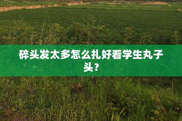 碎头发太多怎么扎好看学生丸子头？