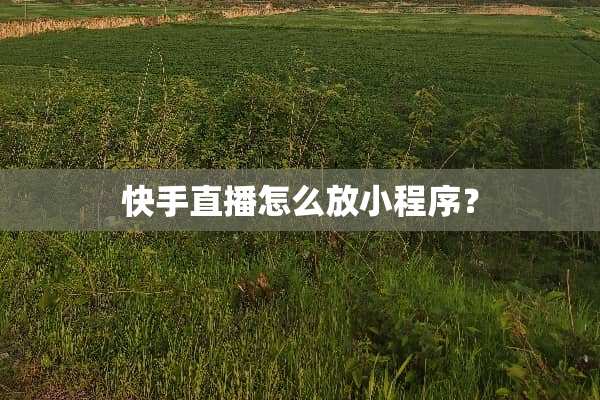 快手直播怎么放小程序？