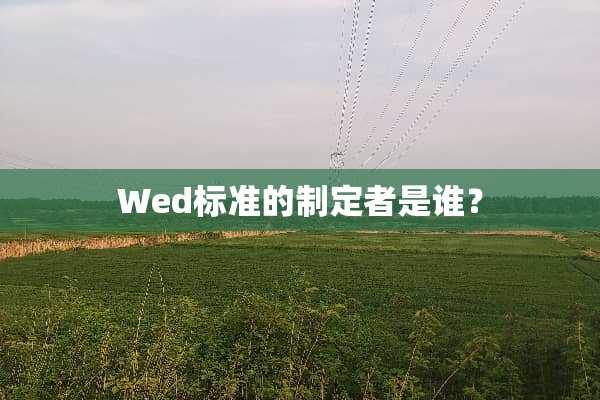 Wed标准的制定者是谁？