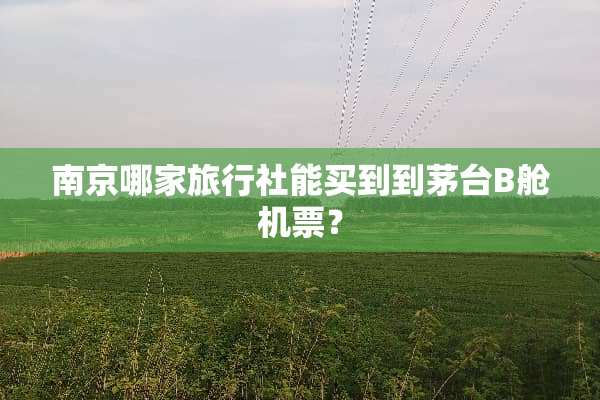 南京哪家旅行社能买到到茅台B舱机票？