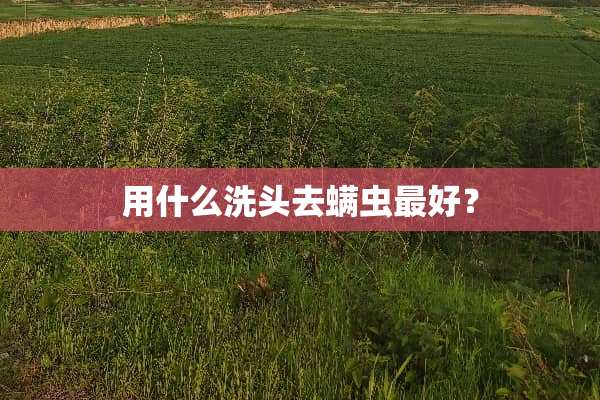 用什么洗头去螨虫最好？