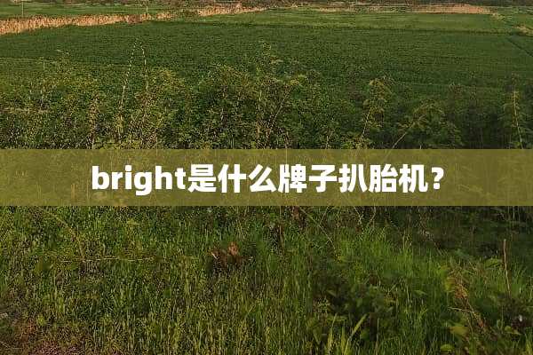 bright是什么牌子扒胎机？