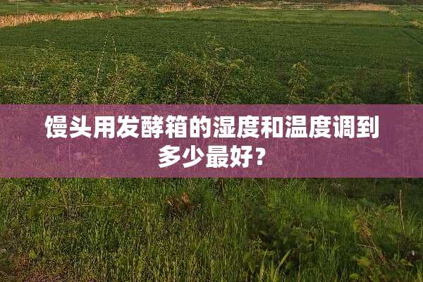 馒头用发酵箱的湿度和温度调到多少最好？
