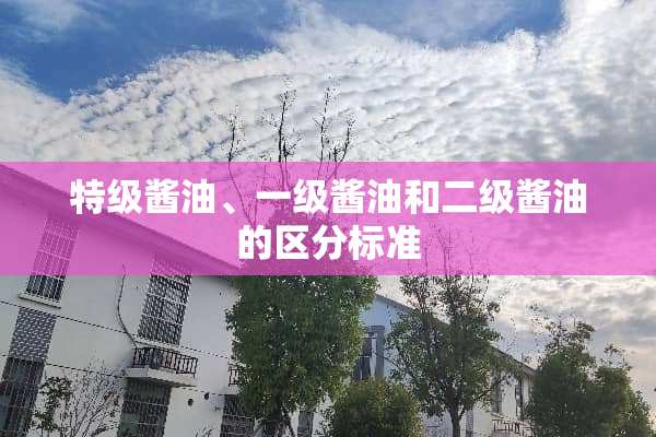 特级酱油、一级酱油和二级酱油的区分标准