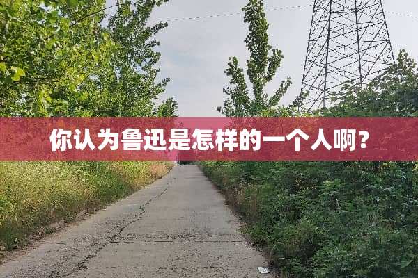你认为鲁迅是怎样的一个人啊？