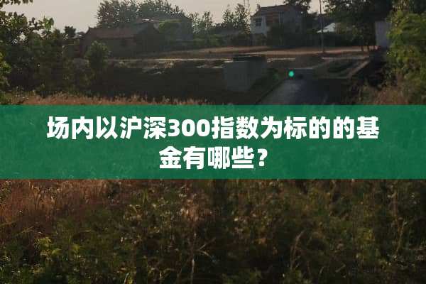 场内以沪深300指数为标的的基金有哪些？