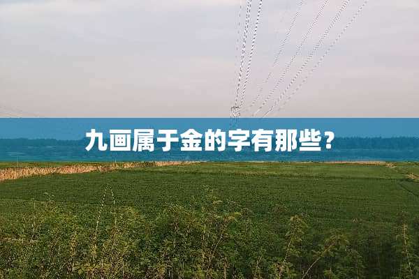 九画属于金的字有那些？