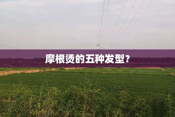 摩根烫的五种发型？