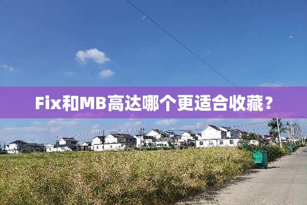 Fix和MB高达哪个更适合收藏？