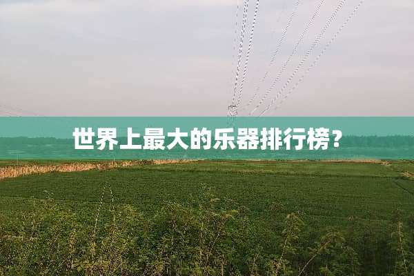 世界上最大的乐器排行榜？
