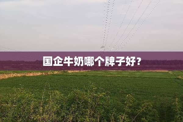 国企牛奶哪个牌子好？