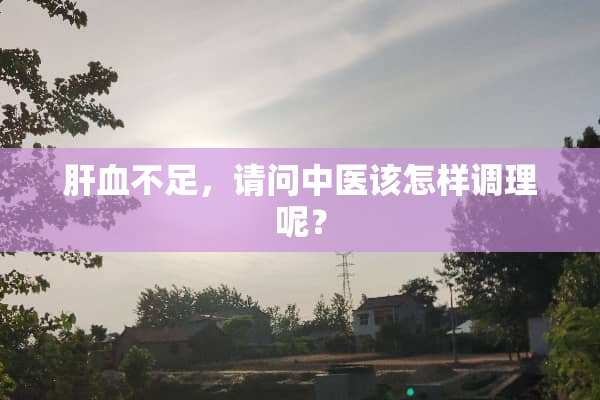 肝血不足，请问中医该怎样调理呢？