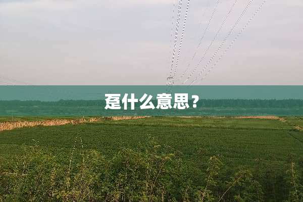趸什么意思？