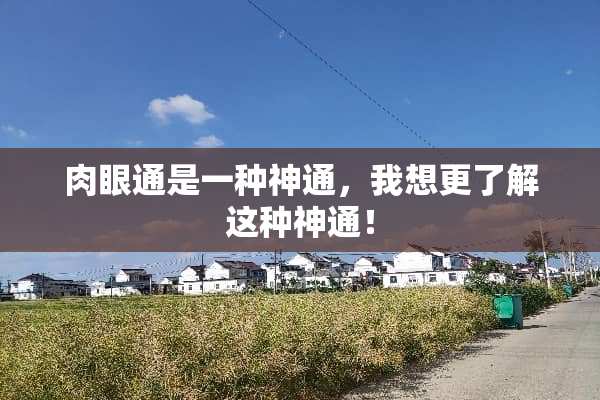 肉眼通是一种神通，我想更了解这种神通！
