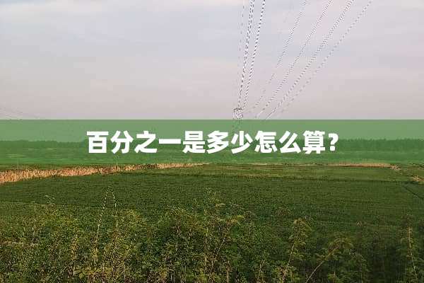 百分之一是多少怎么算？
