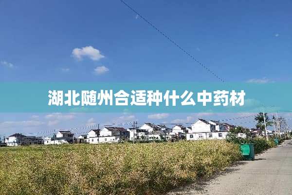 湖北随州合适种什么中药材