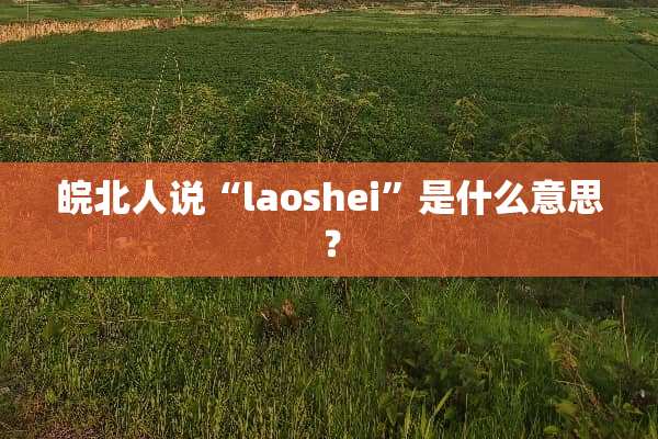 皖北人说“laoshei”是什么意思？