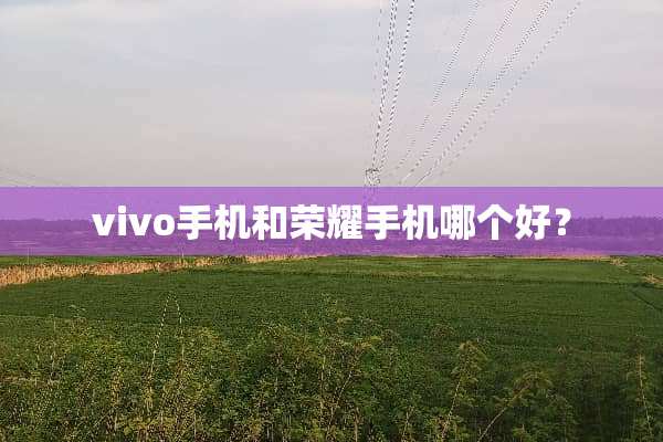 vivo手机和荣耀手机哪个好？