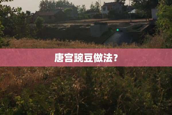唐宫豌豆做法？