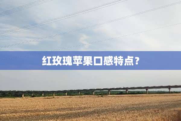红玫瑰苹果口感特点？