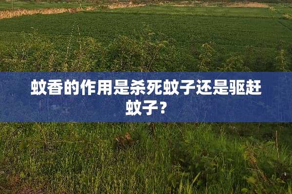 蚊香的作用是**蚊子还是驱赶蚊子？