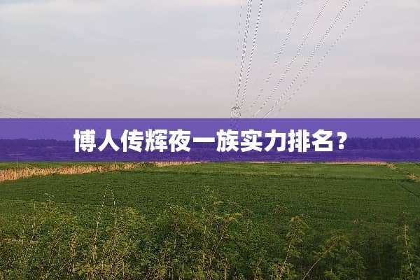 博人传辉夜一族实力排名？