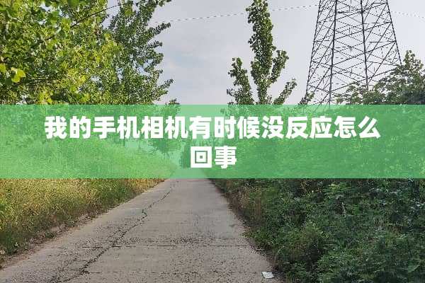 我的手机相机有时候没反应怎么回事