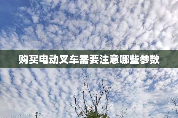 购买电动叉车需要注意哪些参数