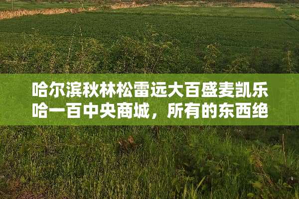 哈尔滨秋林松雷远大百盛麦凯乐哈一百**商城，所有的东西绝对保真么？