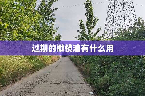 过期的橄榄油有什么用