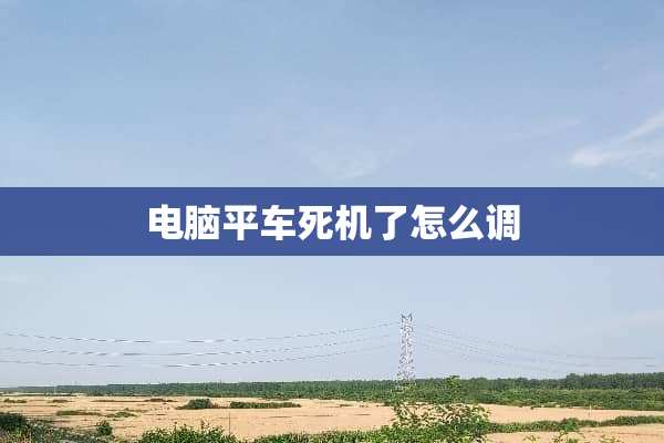 电脑平车死机了怎么调