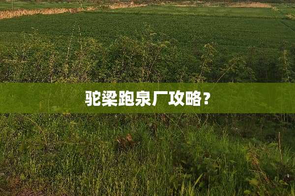 驼梁跑泉厂攻略？