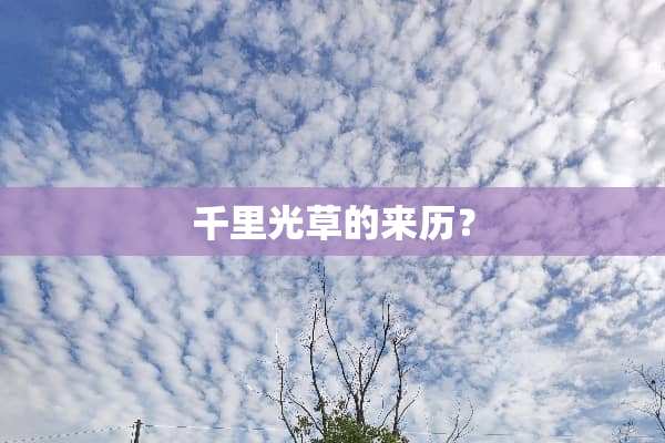 千里光草的来历？