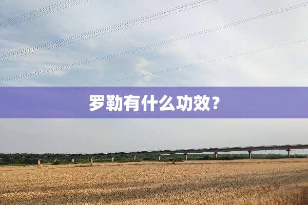 罗勒有什么功效？