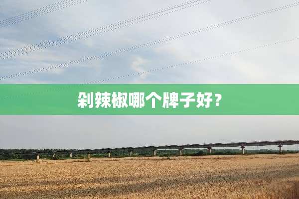 剁辣椒哪个牌子好？