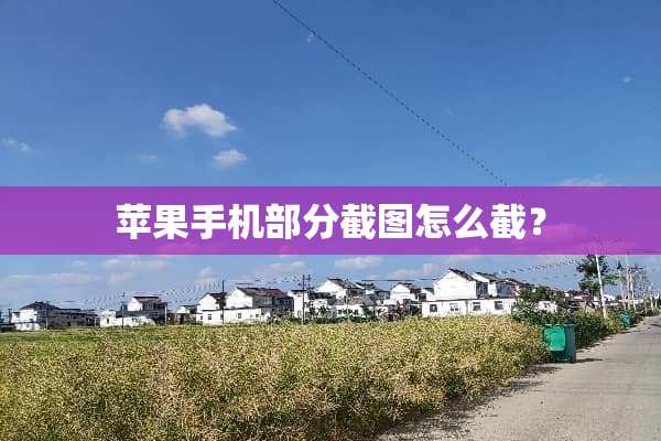 苹果手机部分截图怎么截？