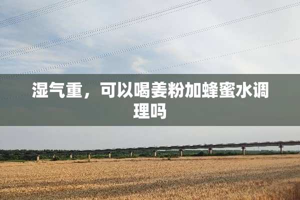 湿气重，可以喝姜粉加蜂蜜水调理吗