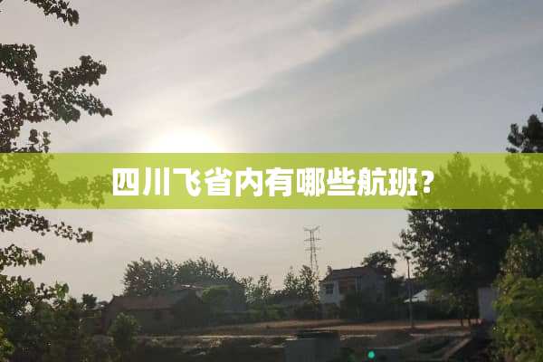 四川飞省内有哪些航班？