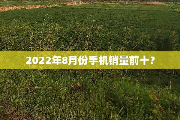 2022年8月份手机销量前十？