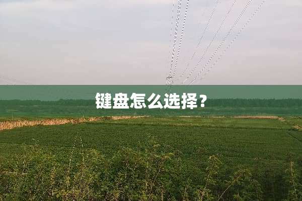 键盘怎么选择？
