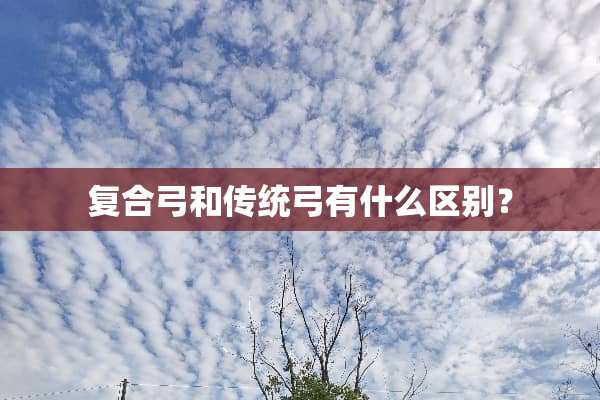 复合弓和传统弓有什么区别？