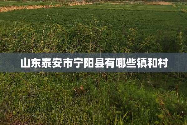 山东**市宁阳县有哪些镇和村